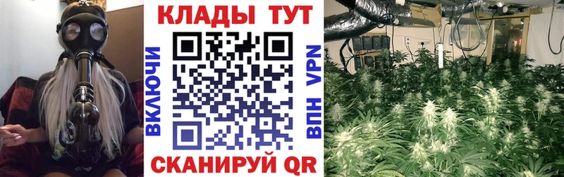 Купить наркоту Няндома КЕТАМИН Мефедрон ГАШИШ Альфа ПВП