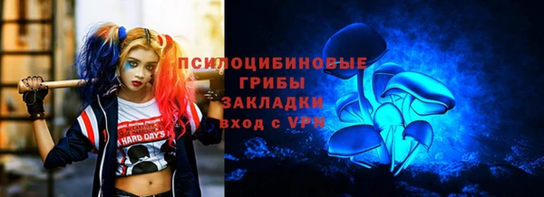трава Богданович