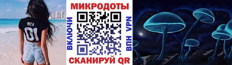 ОМГ ОМГ ТОР  Няндома  Псилоцибиновые грибы Psilocybe 